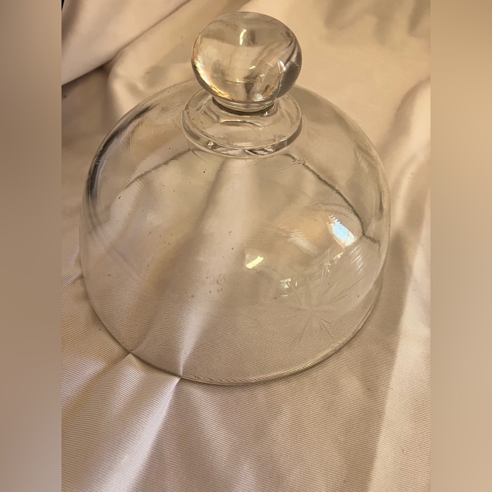 Elegant Glass Cheese Dome - Picture 3 of 9